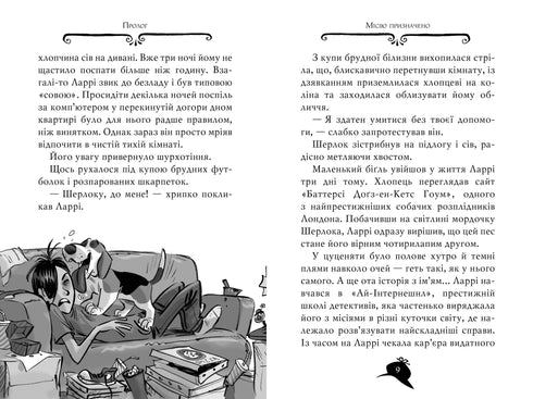 Záhada Agáty. Kniha 19. Po stopách diamantu