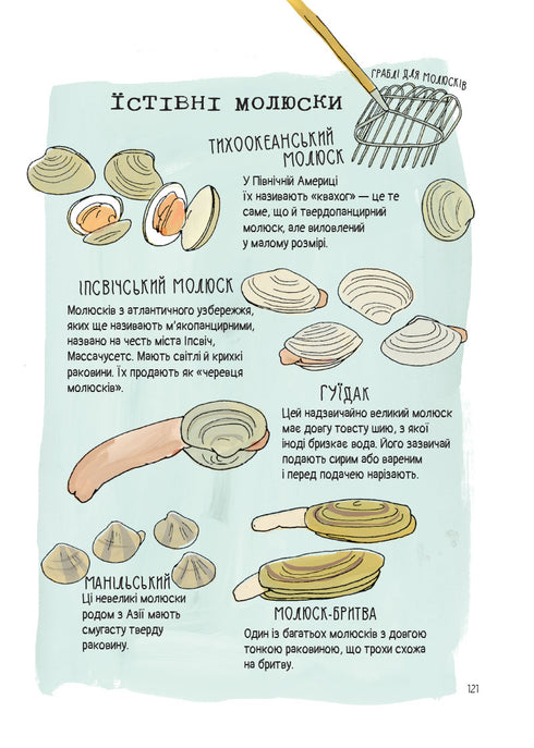 Anatomy of Food. Appetizing Facts from the World of Culinary Arts