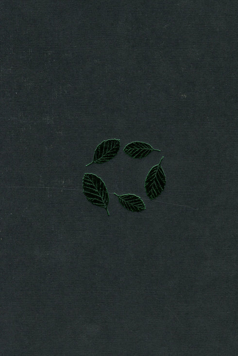 Buková země - 9786175851791