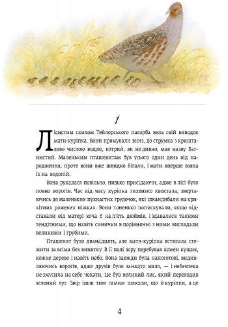 Червона Шийка