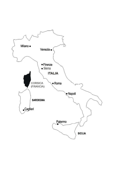 "Italian in 4 Weeks. Intensive Italian Language Course with Electronic Audio Supplement"