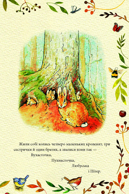 Pohádka o králíčkovi Peterovi - 9789660389434