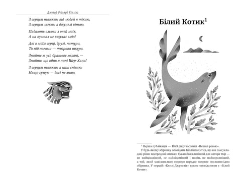 Kniha džunglí - 9786178280857