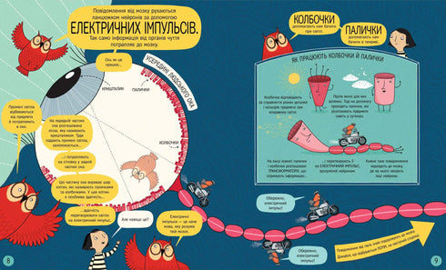 Книжка про мозок і те, як він працює