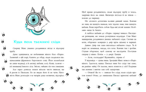 Lesní detektiv. Tajemství zmizelých králíků