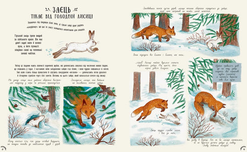 Malá divy přírody - 9786170985606