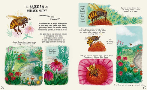 Malá divy přírody - 9786170985606