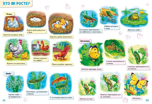 Babies about everything in the world