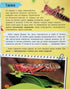 Mini encyclopedia. Insects and spiders