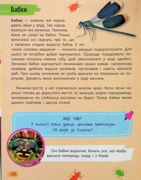 Mini encyclopedia. Insects and spiders