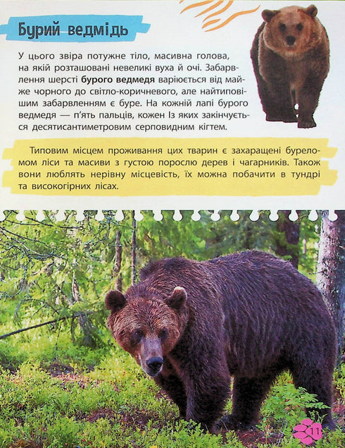 Mini encyklopedie. Svět zvířat