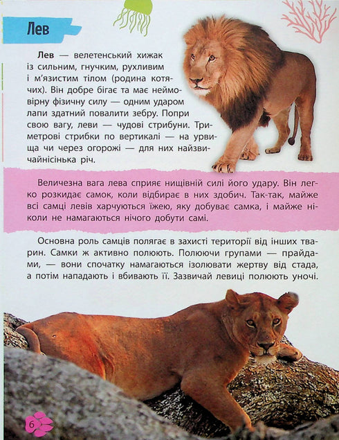 Mini encyklopedie. Svět zvířat