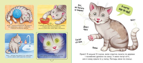 My favorites - 9789667511920