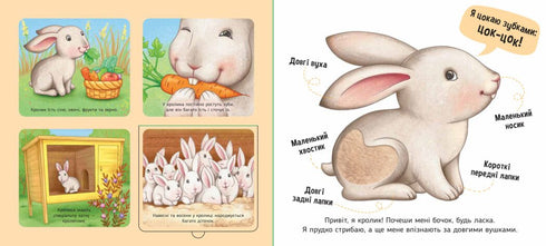 Na farmě - 9789667511937