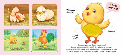 Na farmě - 9789667511937