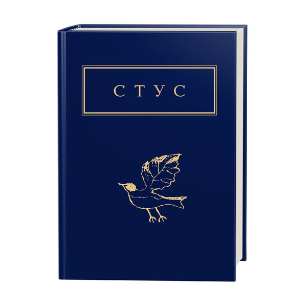 Palimpsesty - 9786175852194