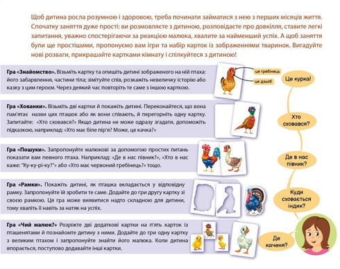 Poznáváme od narození. Na dvoře - 9789667513849