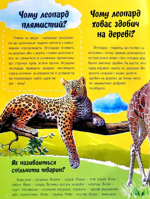 O všem na světě. Odpovědi na otázky