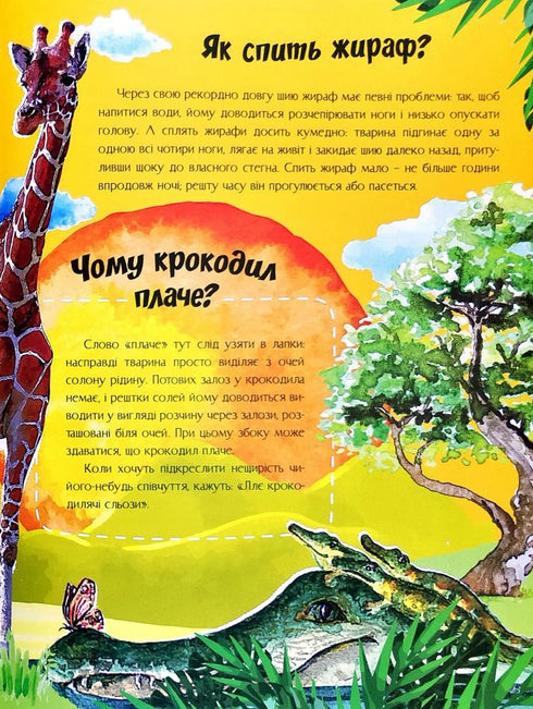 O všem na světě. Odpovědi na otázky