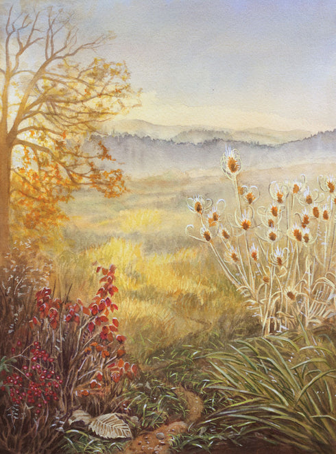 Vánoce v Lesní Louce