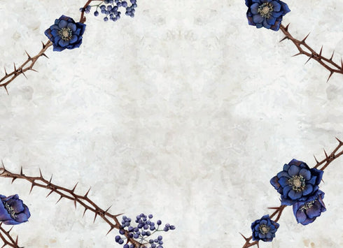 Сага сестер-відьом. Сестра зірок