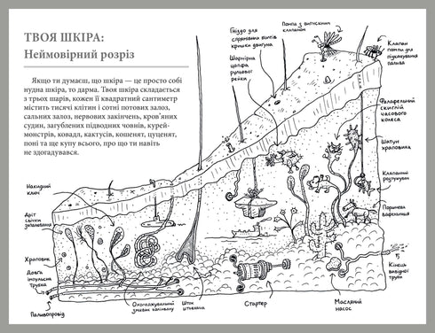 Co je to za orgán? Hloupý průvodce anatomií vašeho těla