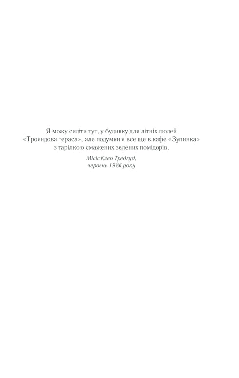 Смажені зелені помідори в кафе «Зупинка»