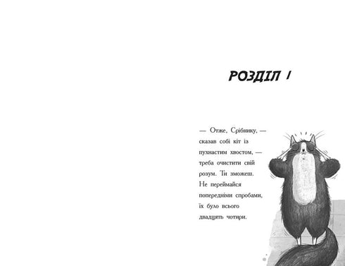 Toto. Kočka-ninja a případ krádeže sýra. Kniha 2