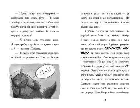 Toto. Kočka-ninja a případ krádeže sýra. Kniha 2