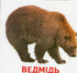 Animals and Birds of Ukraine
