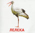 Animals and Birds of Ukraine