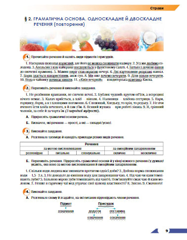 Українська мова. Підручник. 9 клас