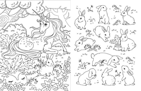 Big Coloring Book. Unicorns and Fairies