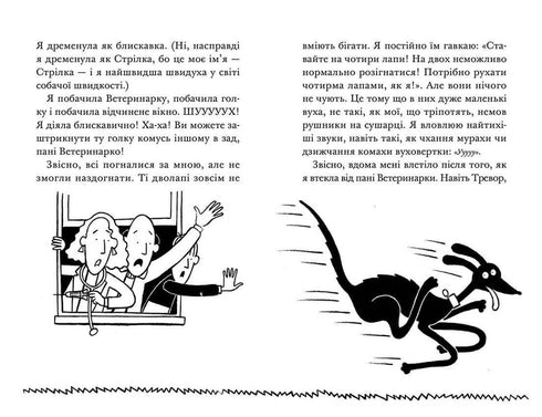 Krádež! Horké léto Raket na čtyřech nohách