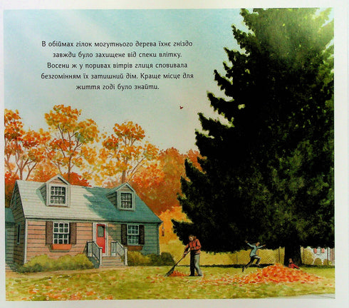 Ževrik a Žarinka - 9786178100124