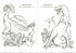 Planeta dinosaurů. Album na vybarvování. Část 2