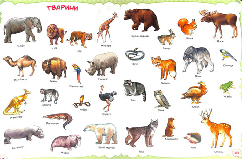 Miminka o všem na světě