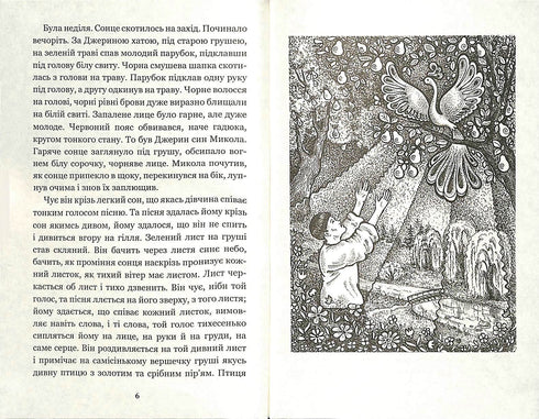 Микола Джеря : повість