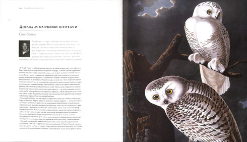 Гаррі Поттер. Історія магії