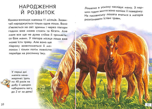 Mini-encyclopedias. All about horses (out of print)