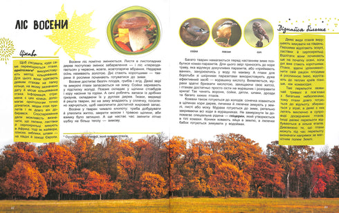 Світ і його таємниці : Життя лісу