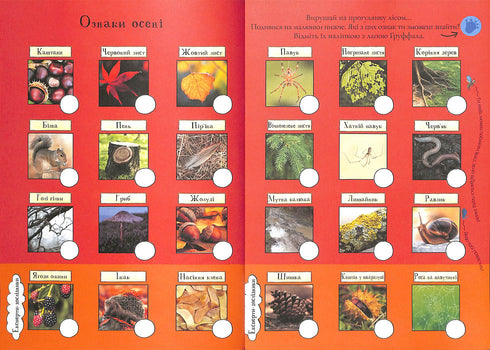 Gruffalo. Podzimními a zimními stezkami