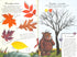 Gruffalo. Podzimními a zimními stezkami