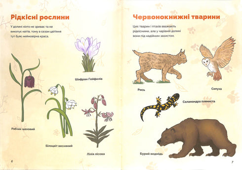 Різдвяник і таємниця чарівної долини