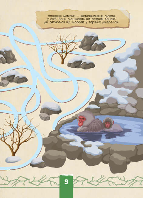 Ecoquest. Wild Nature