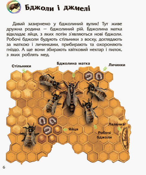 Encyklopedie předškoláka. Hmyz (náklad vyprodán)