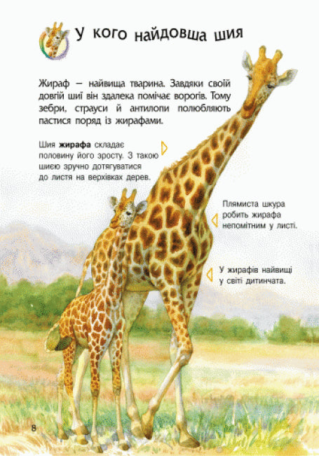 Encyclopedia of Preschoolers. Animals