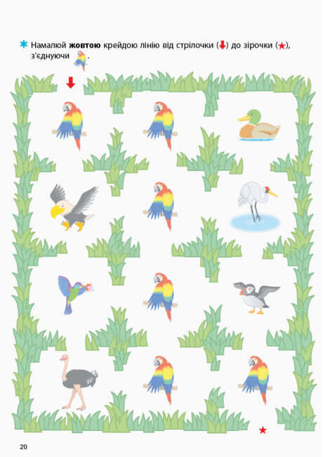 KUMON. Учимося розфарбовувати. Зоопарк.