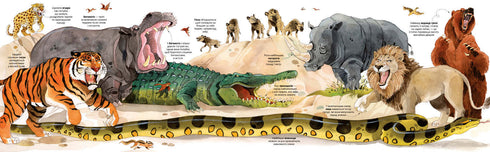 Velká kniha o zvířatech