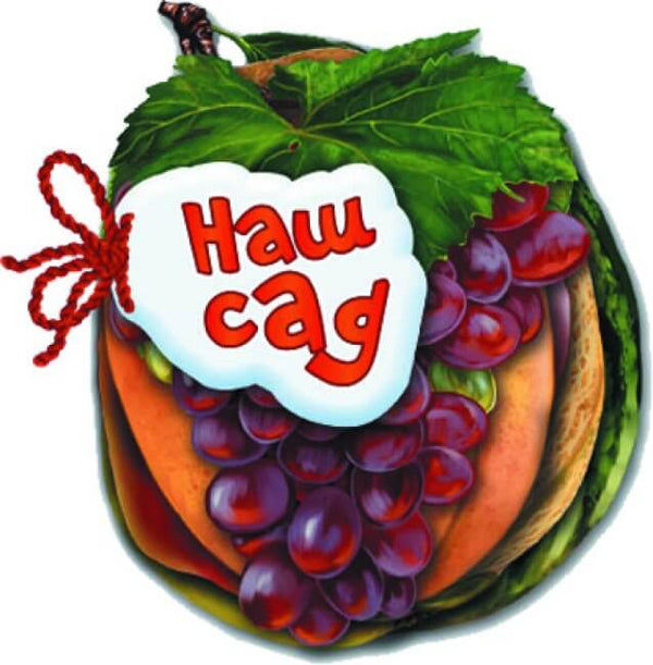 vidhadaj no nash sad